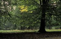 Syyskuu 2007
