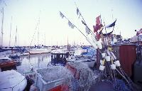 Taarb�k havn juhannus 2009