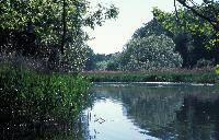 Nym�lle, M�lle� kes�kuu 2006